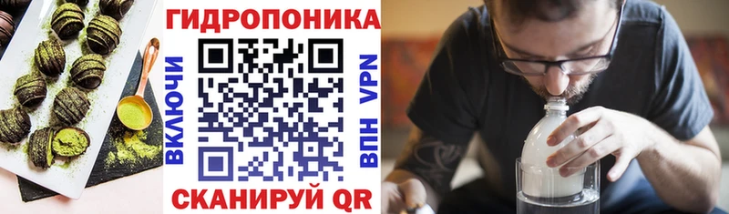 omg   Пушкино  Cannafood конопля 