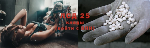 кокс Аркадак
