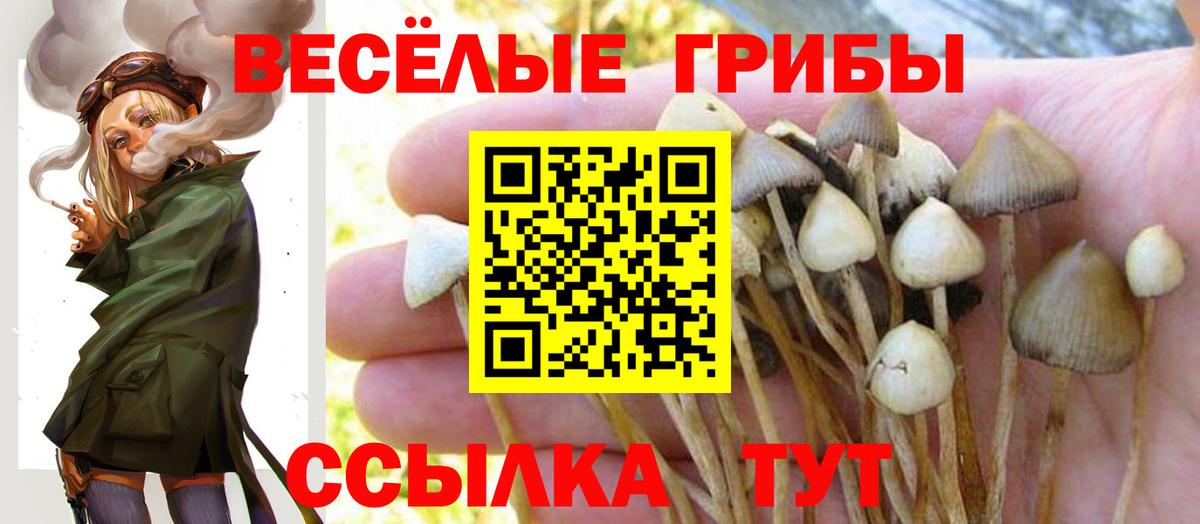 Пушкино  Псилоцибиновые грибы Magic Shrooms  Вход с VPN 